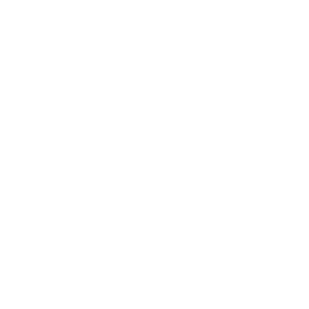 shaking hands icon